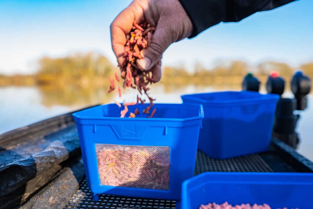 Preston Innovations Bait Tubs 2023 Matchman Supplies